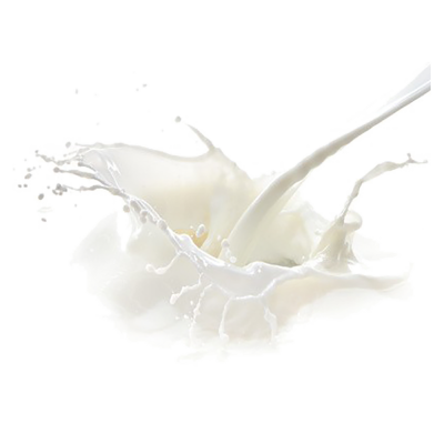 Lait concentré Nutroma (x200)